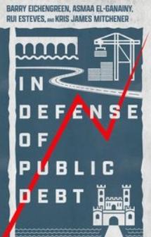 In Defense of Public Debt