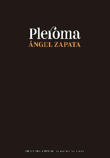 Pleroma Pleroma