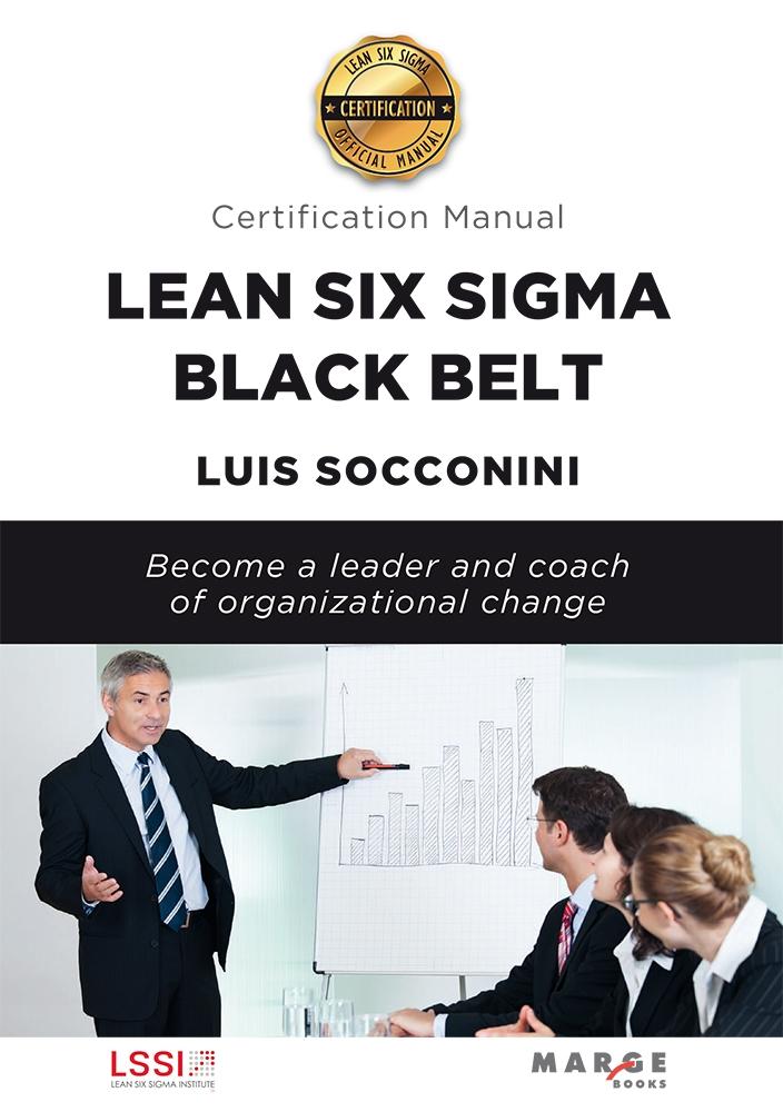 Lean Six Sigma Black Belt