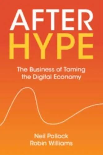 After Hype "The Business of Taming the Digital Economy"