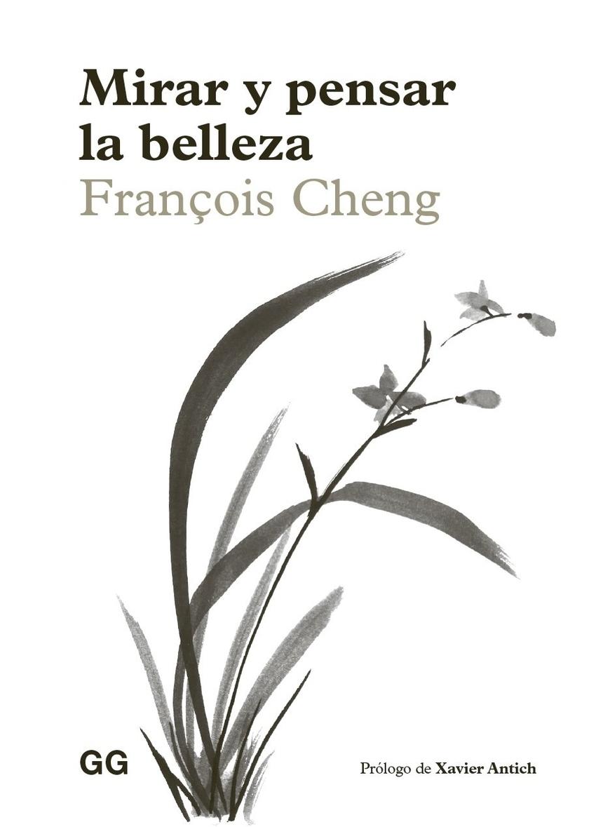 Mirar y pensar la belleza
